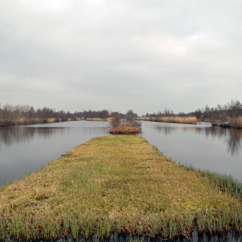 Laagveenmoerassen