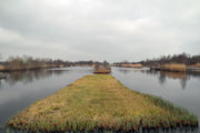 Laagveenmoerassen