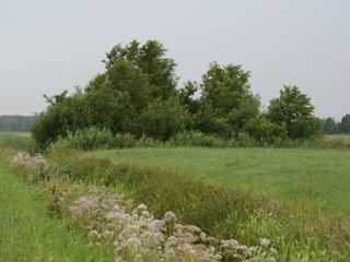 Landschapselementen 1