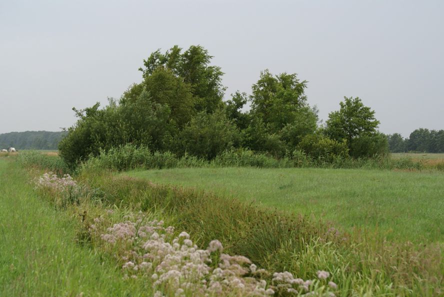 Landschapselementen 1