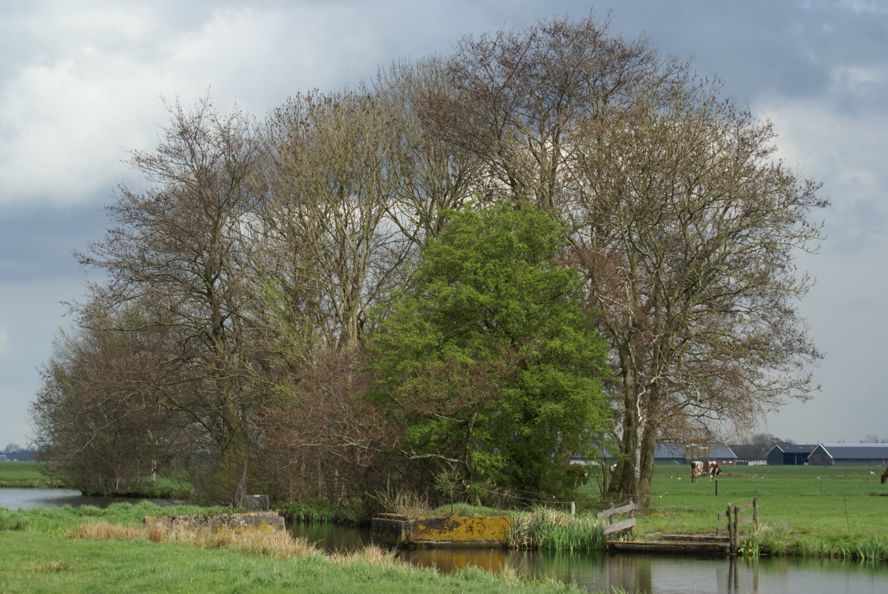 Landschapselementen 3