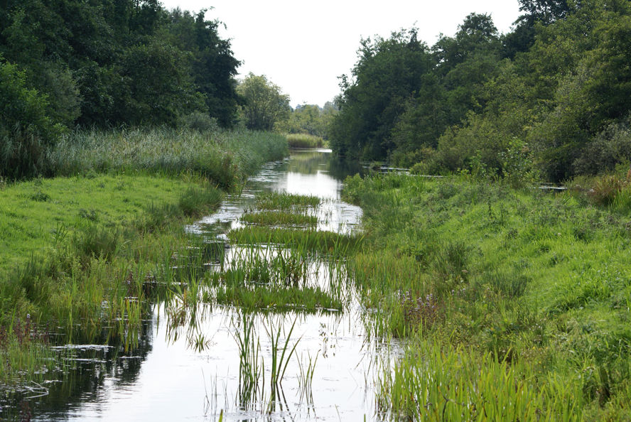 Natuurvriendelijke oever - landschapselement