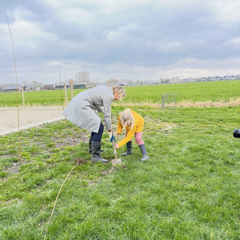 boom planten met mirjam sterk 3