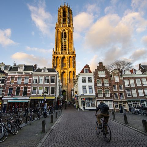 De Domtoren
