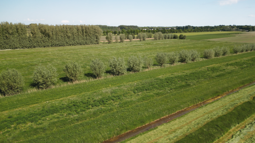 Video 1 Rivierlandschap Final.00 01 03 24.Still005
