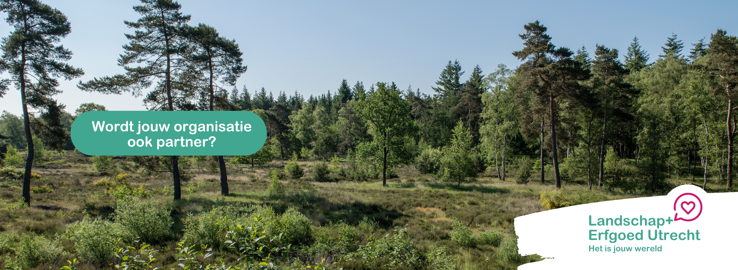Header Banner Website