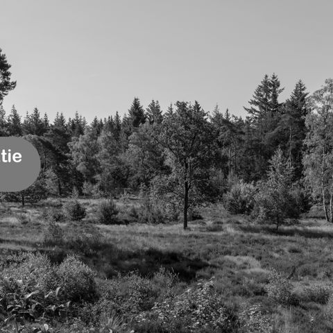 Header Banner Website (1)