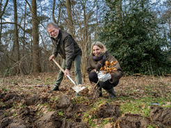 Mirjam Sterk Plan Struweelhaag In Doorn