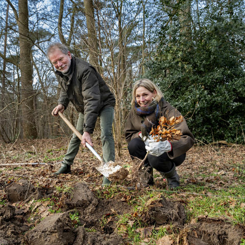 Mirjam Sterk Plan Struweelhaag In Doorn