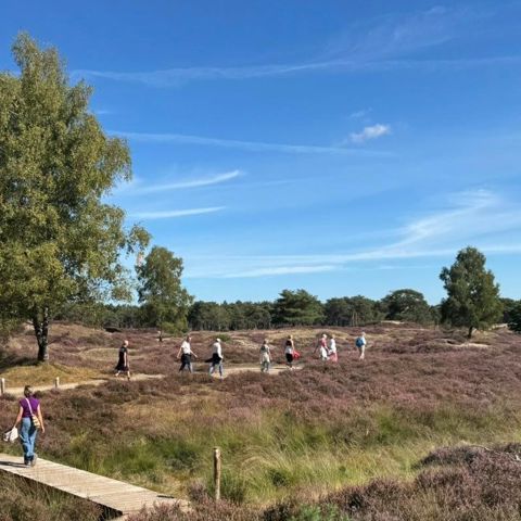 Zintuigenwandeling