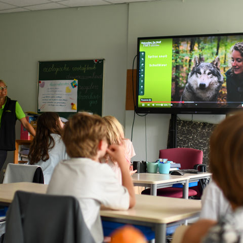 Natuurles Over De Wolf