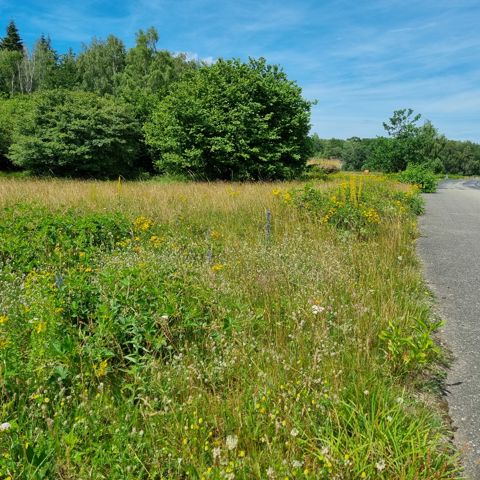 Fietsexcursie Rondom Vliegbasis Soesterberg