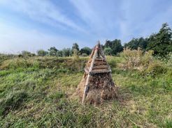 Foto Bijenruiter Groot