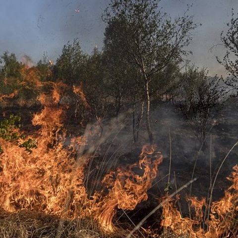 Natuurbrandpreventie