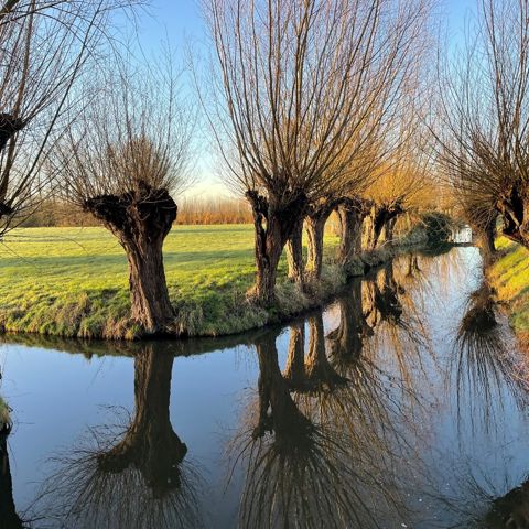 Kleine Landschapselementen